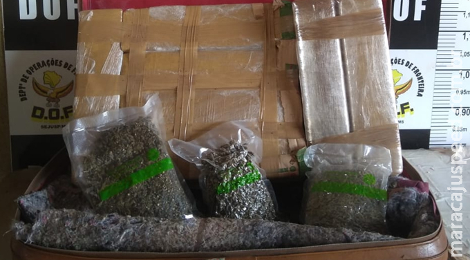 DOF prende homem transportando droga em ônibus DOF prende homem transportando droga em ônibus