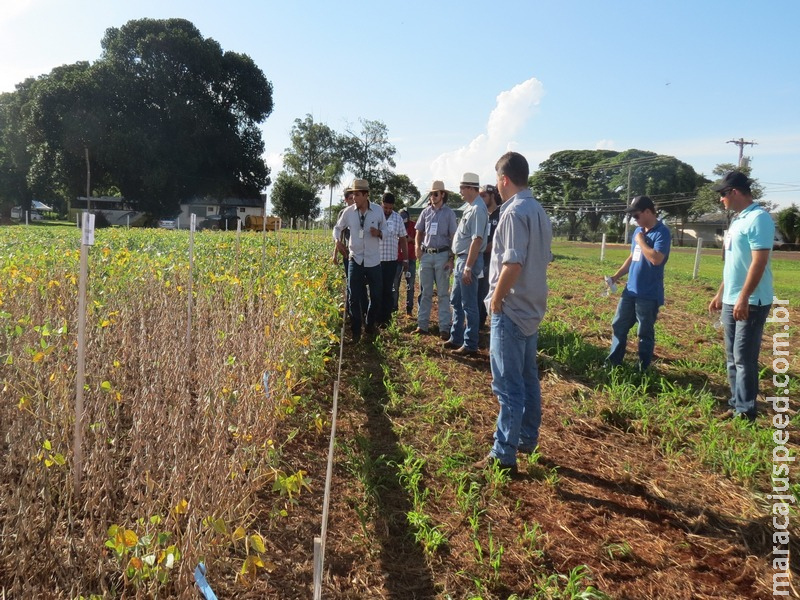 Escolha de cultivares e integração da lavoura com pastagens podem ajudar a maximizar potencial produtivo da soja Escolha de cultivares e integração da lavoura com pastagens podem ajudar a maximizar potencial produtivo da soja
