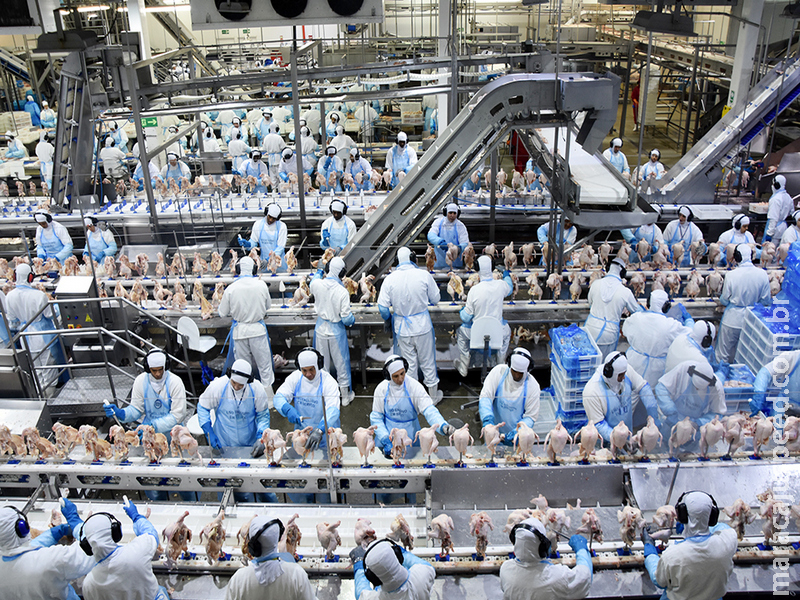 Exportações de industrializados de MS encerram 2018 com crescimento de 19%