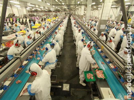 Frango que saiu de Dourados é recolhido por indícios de contaminação, diz agência