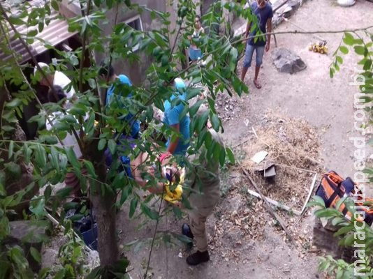  Idoso cai de ribanceira de 4 metros de altura e é resgatado pelos Bombeiros