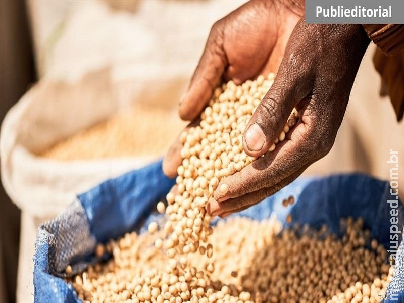 Nutrição e produtividade para o cultivo da soja Nutrição e produtividade para o cultivo da soja