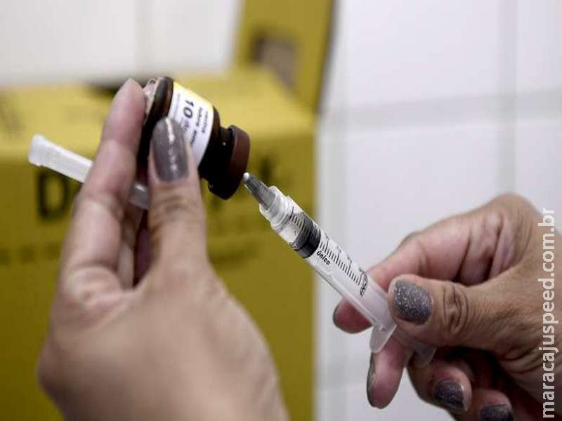 OMS recomenda vacina contra febre amarela a estrangeiros no Brasil