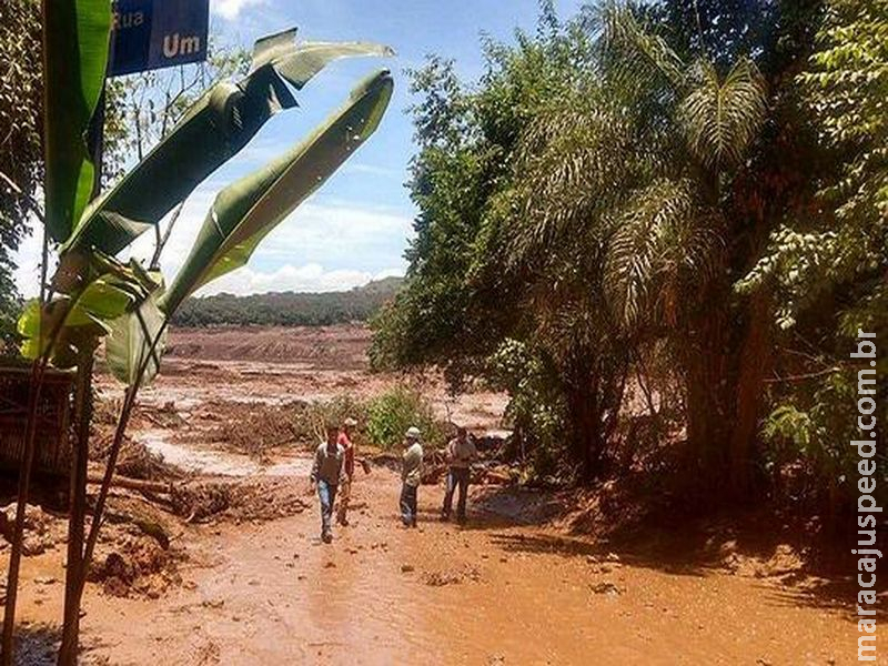 Plenário da Câmara debate tragédia de Brumadinho Plenário da Câmara debate tragédia de Brumadinho