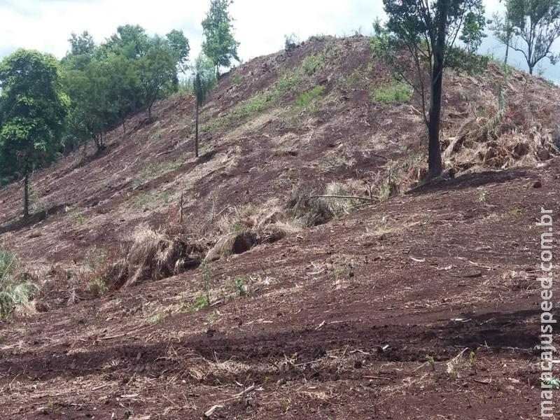 PMA de Bela Vista autua infrator por desmatamento ilegal de 20 hectares de vegetação nativa de cerrado