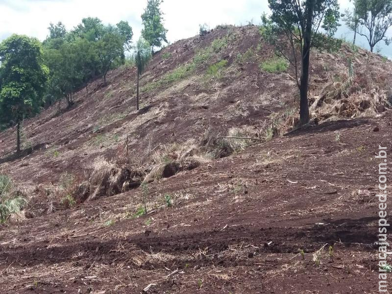 PMA de Bela Vista autua infrator por desmatamento ilegal de 20 hectares de vegetação nativa de cerrado PMA de Bela Vista autua infrator por desmatamento ilegal de 20 hectares de vegetação nativa de cerrado