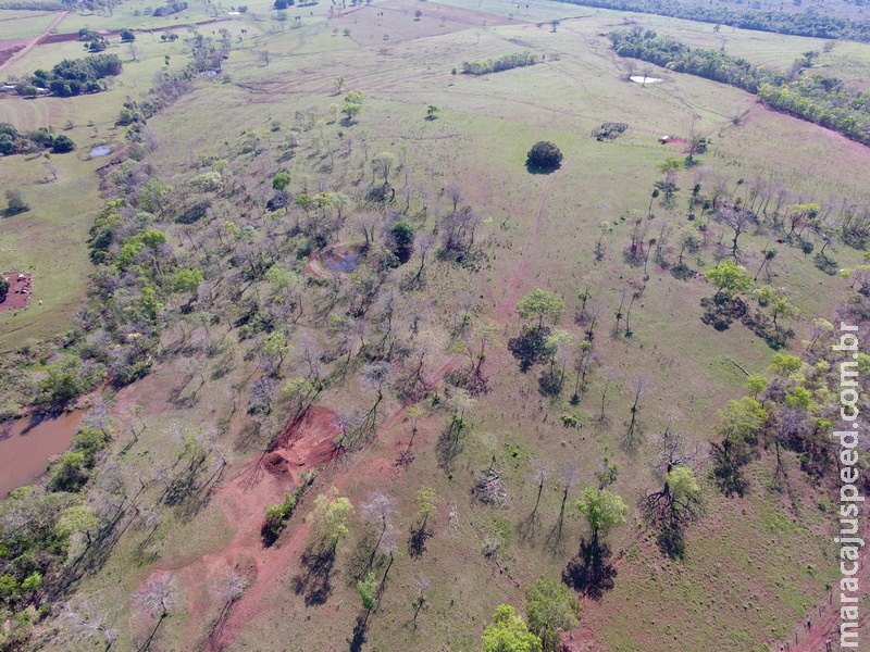 PMA de Jardim autua pecuarista por desmatamento ilegal de três hectares durante a operação Cervo-do-Pantanal PMA de Jardim autua pecuarista por desmatamento ilegal de três hectares durante a operação Cervo-do-Pantanal