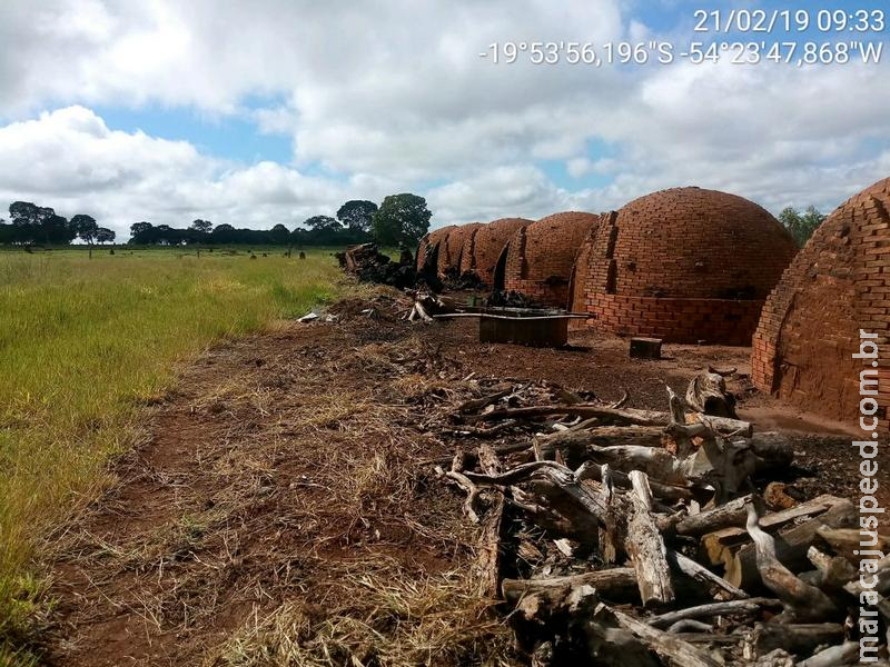 PMA fecha carvoaria, autua dono em R$ 20,3 mil e apreende 63 m³ de carvão e madeira ilegais