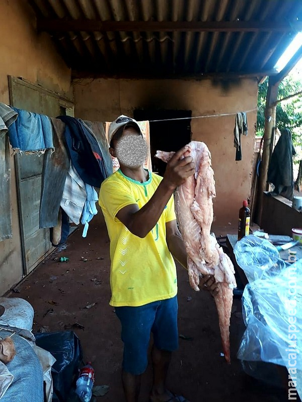 PMA identifica e autua campo-grandense por caça de jacaré postada em redes sociais PMA identifica e autua campo-grandense por caça de jacaré postada em redes sociais