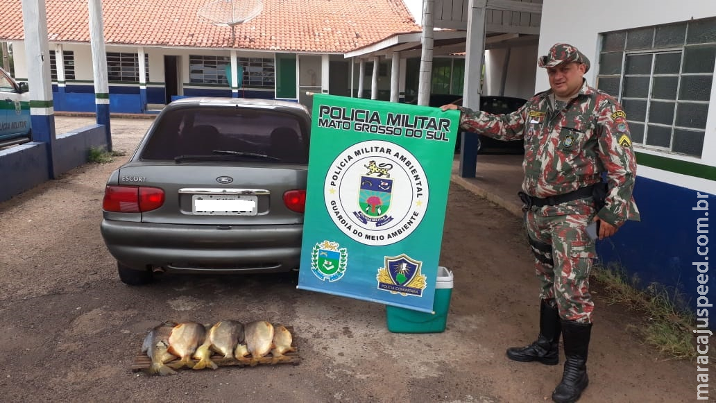 PMA prende pescador profissional que fugiu de bloqueio com pescado capturado em piracema PMA prende pescador profissional que fugiu de bloqueio com pescado capturado em piracema