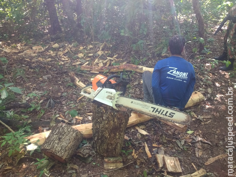 Polícia Militar autua infrator em R$ 5 mil por exploração ilegal de madeira em reserva legal utilizando motosserra sem licença