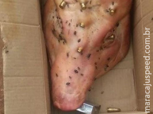 Recado: mulher recebe cabeça de porco com boca fechada por cadeado