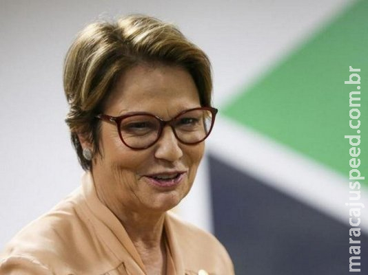 Tereza diz que corte radical de subsídio pode "desarrumar" agronegócio Tereza diz que corte radical de subsídio pode "desarrumar" agronegócio