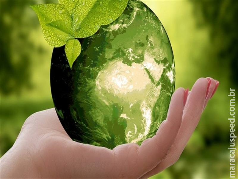 87% dos consumidores preferem empresas sustentáveis 87% dos consumidores preferem empresas sustentáveis