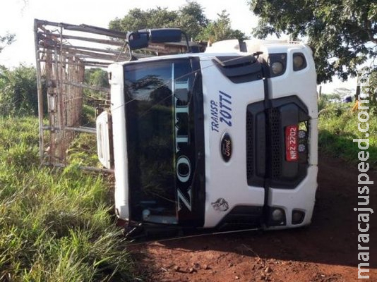 Caminhão que transportava frangos tomba próximo a MS-080