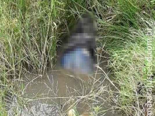 Caseiro encontrado morto em MS foi vítima de infarto fulminante, diz perícia Caseiro encontrado morto em MS foi vítima de infarto fulminante, diz perícia