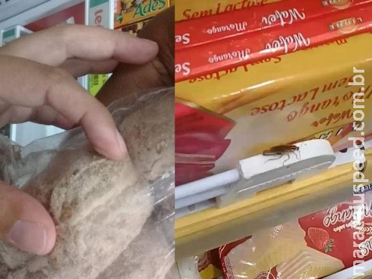 Cliente encontra bichos em pão de mel e barata Cliente encontra bichos em pão de mel e barata
