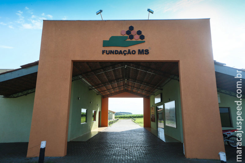 Com 27 anos de existência, Fundação MS destaca pioneirismo na agricultura do Estado Com 27 anos de existência, Fundação MS destaca pioneirismo na agricultura do Estado