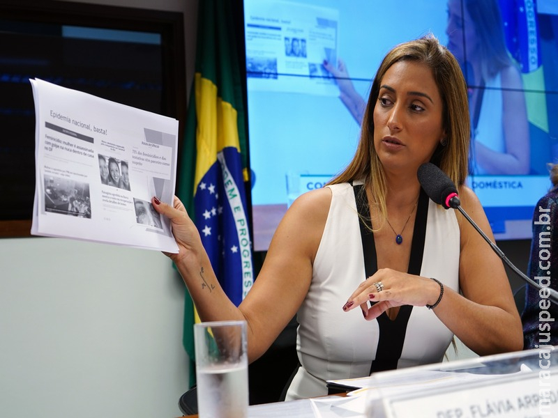 Comissão sobre violência doméstica contra mulher fará visitas a cinco estados Comissão sobre violência doméstica contra mulher fará visitas a cinco estados