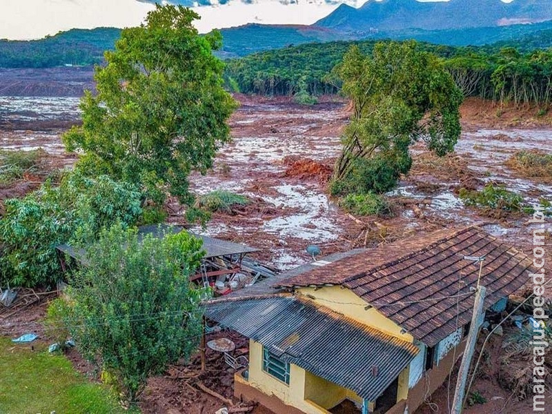 DataSenado: poluição ambiental que resulta em morte deve virar crime hediondo