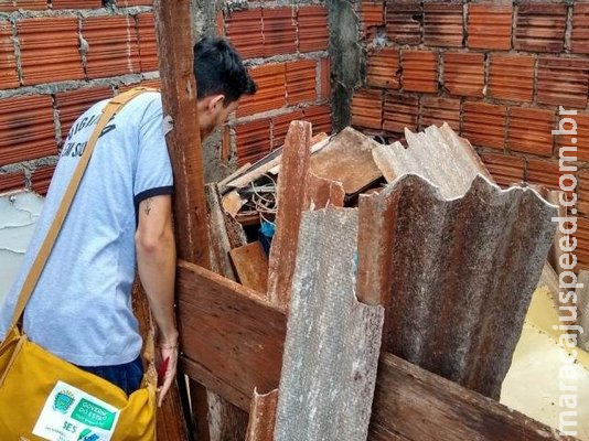 Dengue mata estudante de 11 anos, primeira morte pela doença em 2019