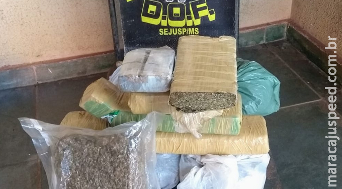 DOF apreende droga abandonada em rodovia