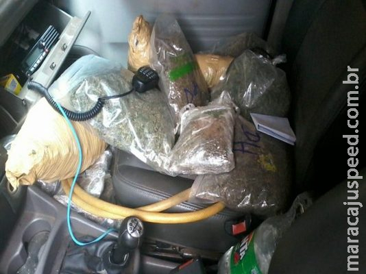 Dupla seguia para Campo Grande com 16 kg de sementes de maconha e 796 kg da droga Dupla seguia para Campo Grande com 16 kg de sementes de maconha e 796 kg da droga