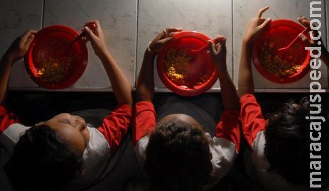 Estudo vai analisar alimentação e nutrição de crianças no Brasil Estudo vai analisar alimentação e nutrição de crianças no Brasil