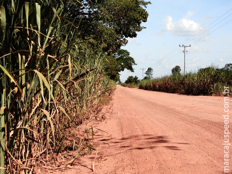 Garotinho fica frente a frente com onça-pintada enquanto aguardava ônibus escolar de Anastácio