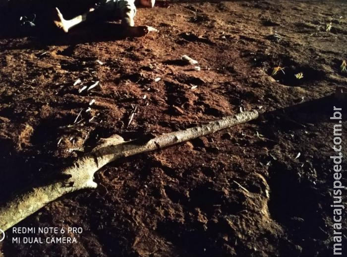 Homem come galo do vizinho e acaba morto a pauladas 