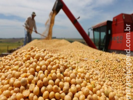 Mais de 70% das lavouras de soja já foram colhidas em MS, aponta sistema da Semagro Mais de 70% das lavouras de soja já foram colhidas em MS, aponta sistema da Semagro