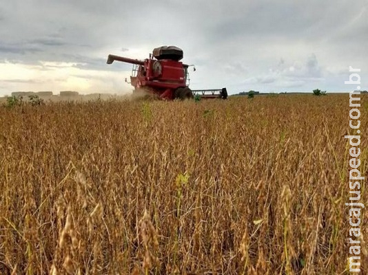 Mais de 90% das lavouras de soja já foram colhidas no Estado