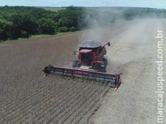 Município de MS dobra área plantada de soja ao adotar rotação com pastagens Município de MS dobra área plantada de soja ao adotar rotação com pastagens
