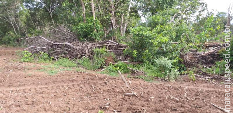 Polícia Militar Ambiental autua campo-grandense em R$ 15 mil por desmatamento ilegal de 15 hectares em Pedro Gomes
