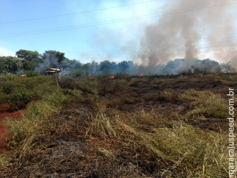 Polícia Militar Ambiental autua dono de chácara em R$ 2 mil flagrado incendiando pastagem ilegalmente com riscos à rede alta tensão