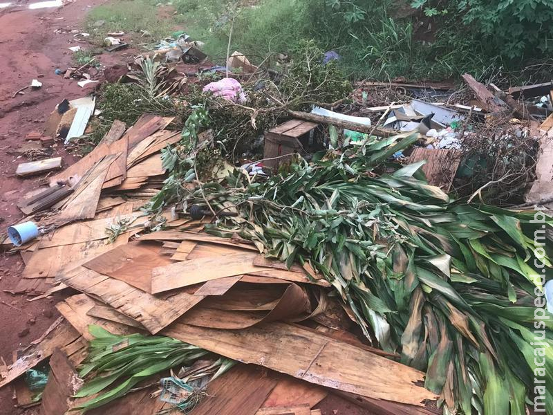 Polícia Militar Ambiental autua infrator em R$ 5 mil por lançamento ilegal de lixo em via urbana Polícia Militar Ambiental autua infrator em R$ 5 mil por lançamento ilegal de lixo em via urbana