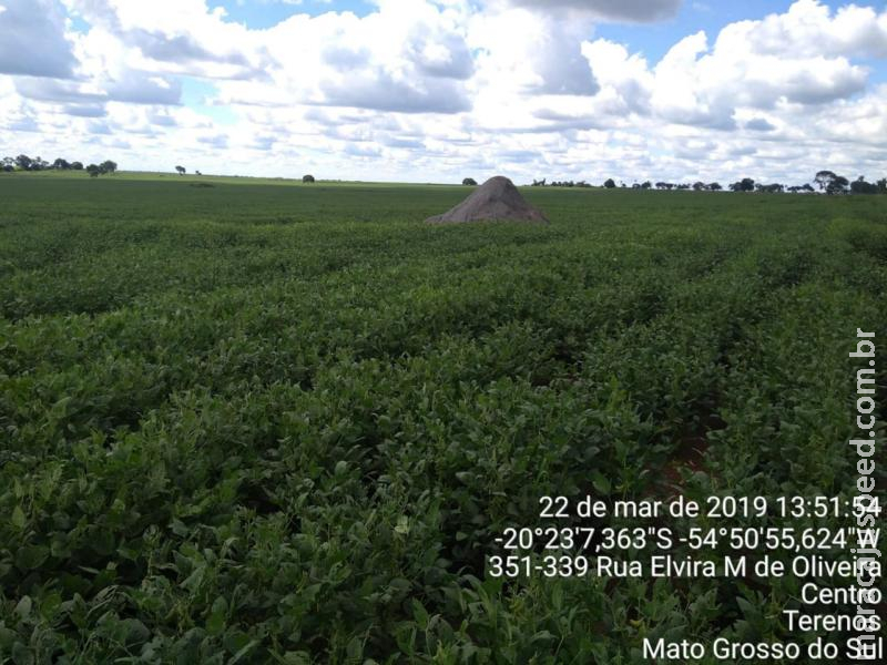 Polícia Militar Ambiental autua quatro infratores em R$ 10,8 mil por realização de atividade agrícola sem fazer conservação de solo Polícia Militar Ambiental autua quatro infratores em R$ 10,8 mil por realização de atividade agrícola sem fazer conservação de solo