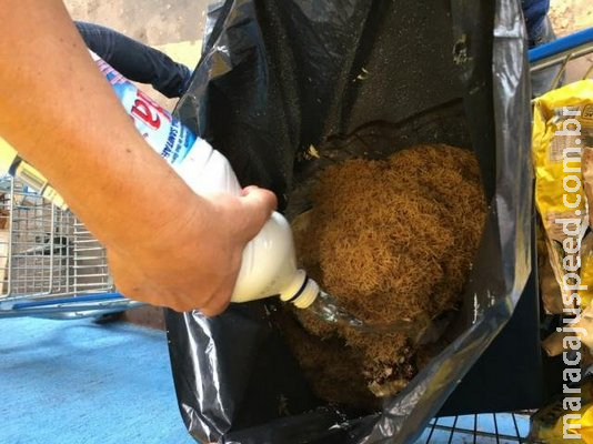 Procon encontra produtos vencidos e até com larvas em supermercado