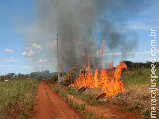 Produtor rural é multado após incêndio em área próxima a fios de alta tensão 
