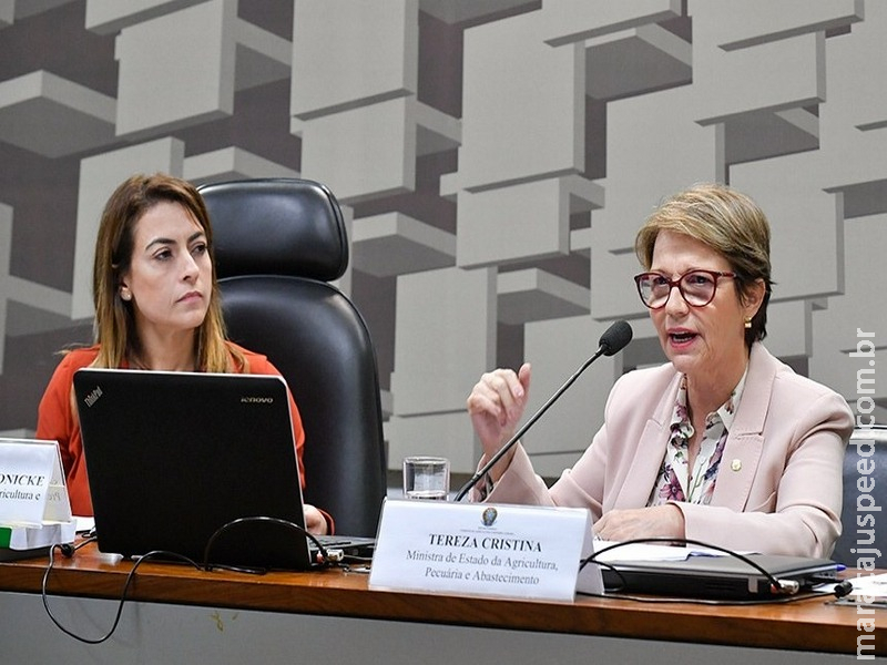 Tereza Cristina defende integração de terras indígenas ao agronegócio