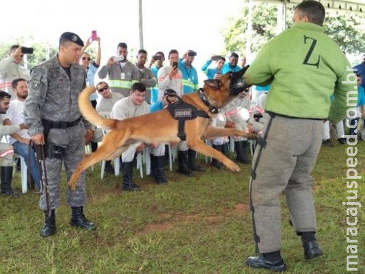 Trabalhadores recebem treinamento do BPChoque contra ataque de cães