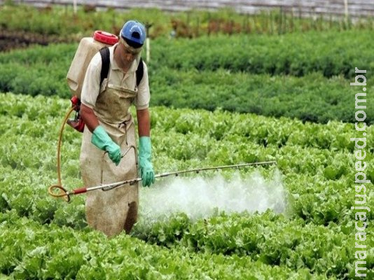 Audiência na Câmara debate hoje as consequências do agrotóxico na saúde