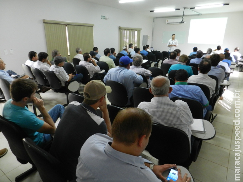 Circuito com apresentações de resultados sobre safra 18/19 começa amanhã em Maracaju Circuito com apresentações de resultados sobre safra 18/19 começa amanhã em Maracaju