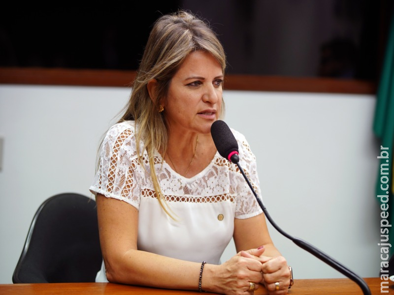 Comissão de Seguridade aprova regras mínimas de segurança para piscinas Comissão de Seguridade aprova regras mínimas de segurança para piscinas