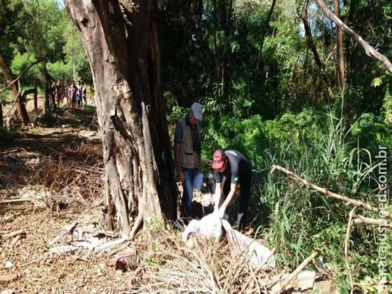 Corpo com pés e mãos amarrados é encontrado em terreno baldio Corpo com pés e mãos amarrados é encontrado em terreno baldio