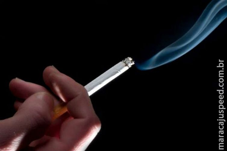 Estilo de vida responde por 63 mil mortes de câncer por ano no Brasil Estilo de vida responde por 63 mil mortes de câncer por ano no Brasil