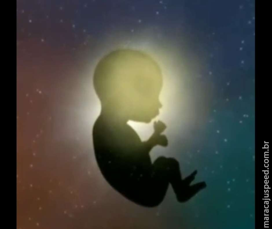 Experiência virtual mostra reações do feto dentro do útero