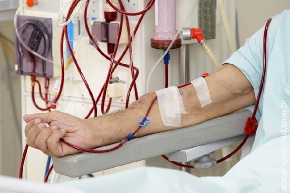 Mais de 23 mil pacientes esperam por um transplante de rim no Brasil Mais de 23 mil pacientes esperam por um transplante de rim no Brasil