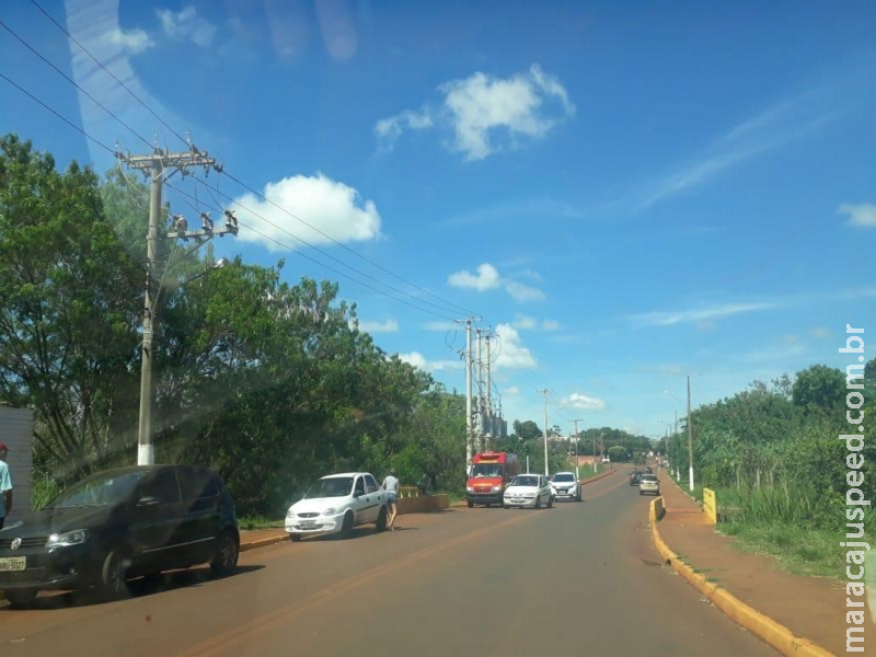 Maracaju: Crime, crueldade ou maldade? Homem joga gatinhos que estavam dentro de sacola nas águas do Rio Montalvão (vídeo) Maracaju: Crime, crueldade ou maldade? Homem joga gatinhos que estavam dentro de sacola nas águas do Rio Montalvão (vídeo)