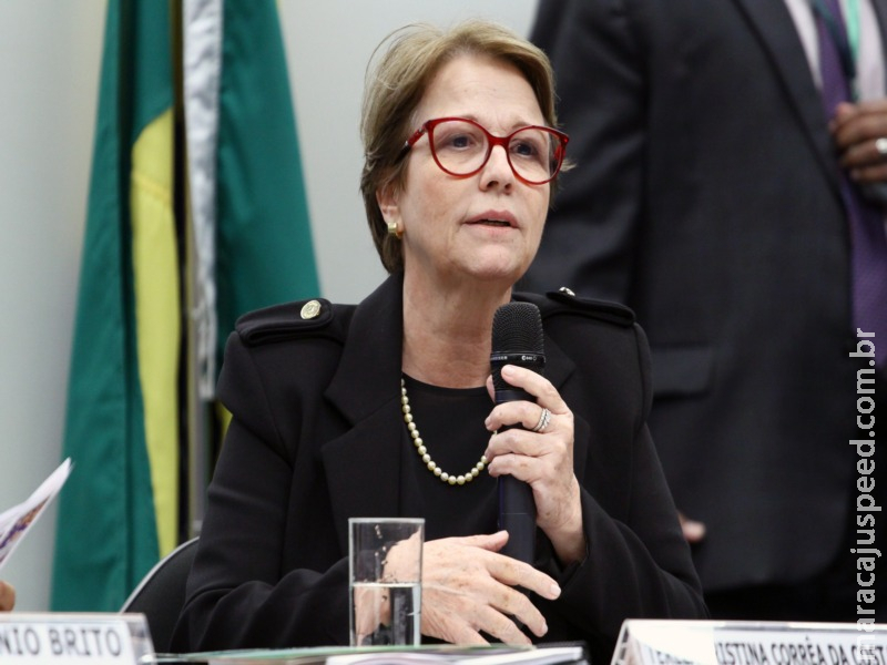 Ministra da Agricultura defende liberação de novos agrotóxicos Ministra da Agricultura defende liberação de novos agrotóxicos